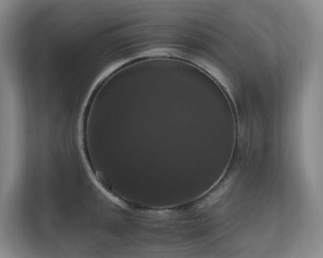 X0000111121045200906301306