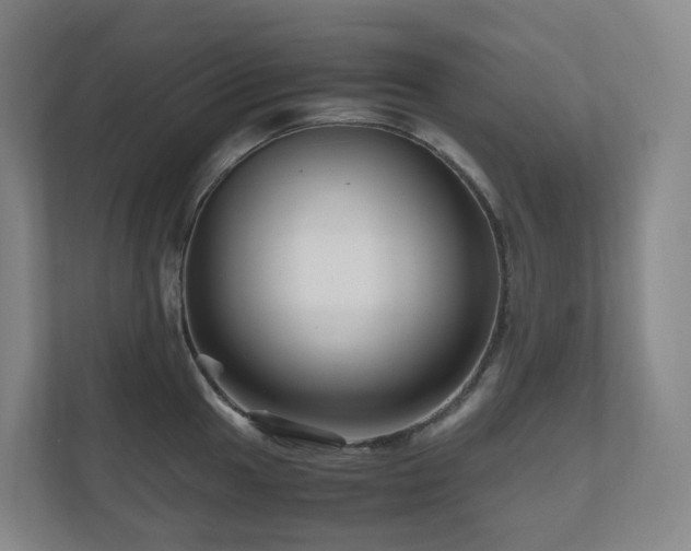 X0000111121049200906301307