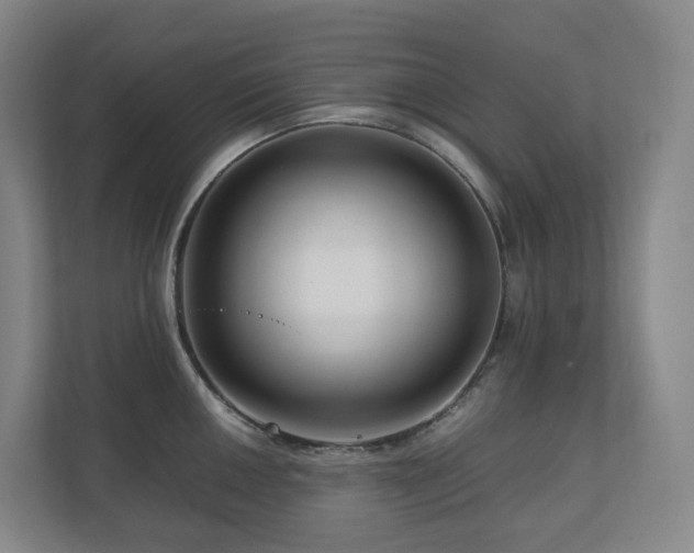 X0000111121050200906301307