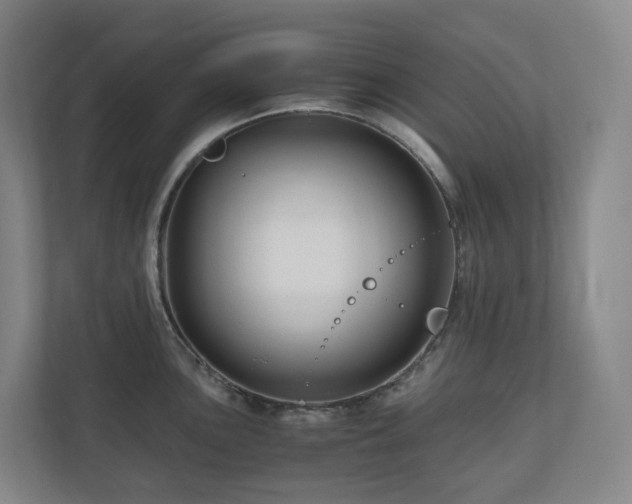 X0000111121051200906301307