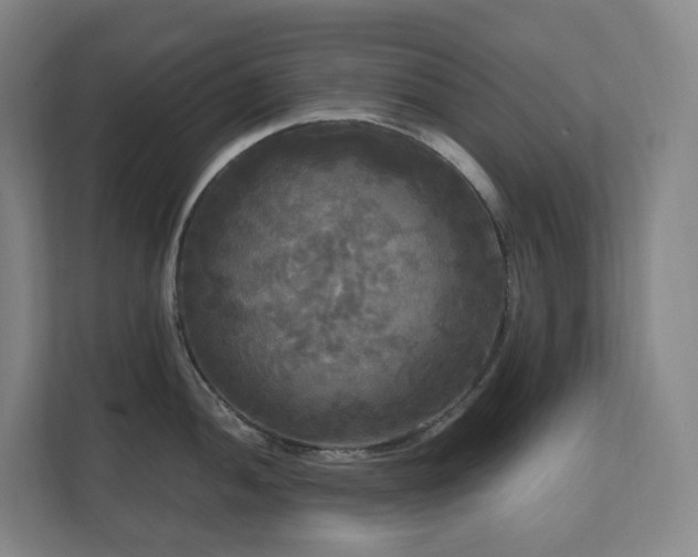 X0000111121052200906301307