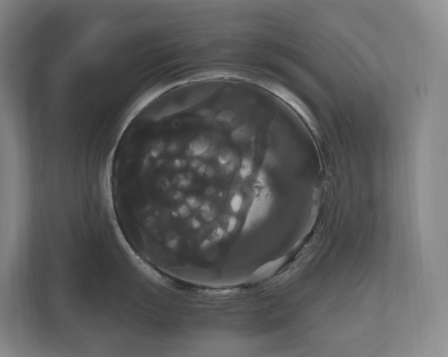 X0000111121055200906301307