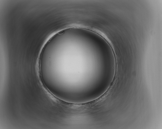 X0000111121056200906301307