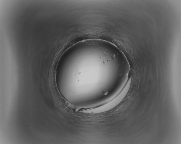 X0000111121057200906301306