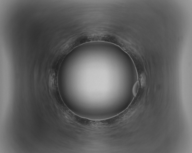 X0000111121059200906301306
