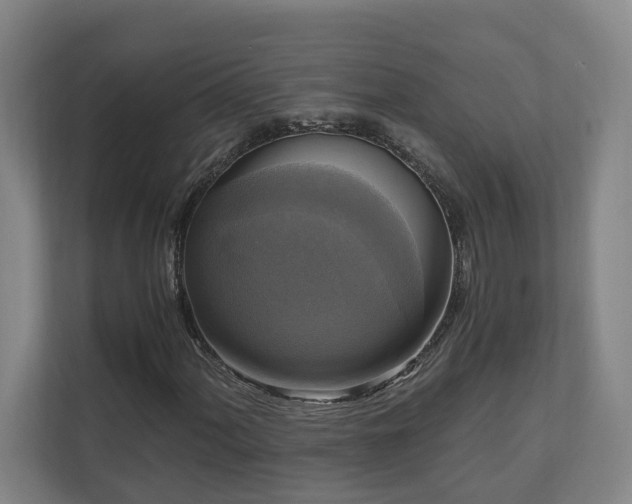 X0000111121060200906301306