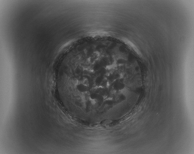 X0000111121063200906301306