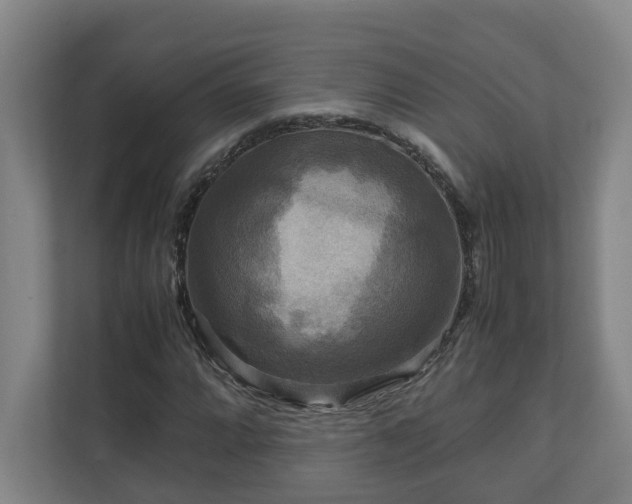 X0000111121064200906301306