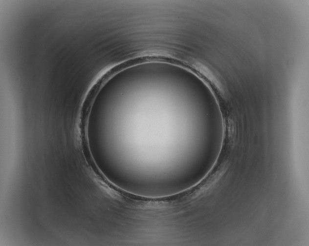 X0000111121068200906301306