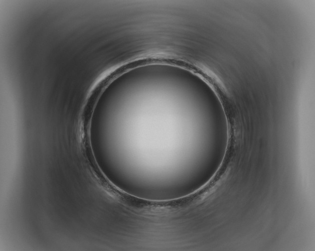 X0000111121070200906301306