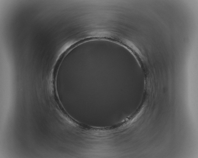 X0000111121071200906301306