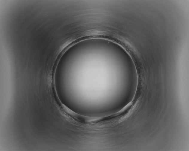 X0000111121073200906301306