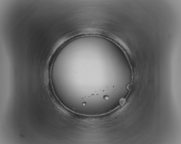 X0000111121075200906301306