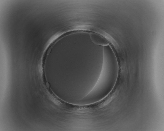 X0000111121077200906301306