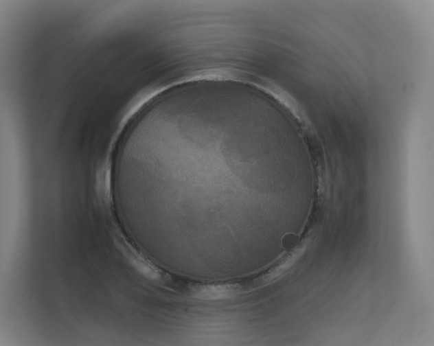 X0000111121078200906301306