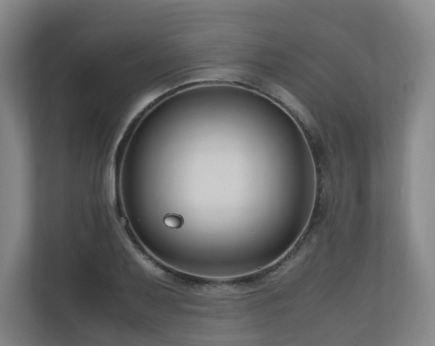 X0000111121079200906301306