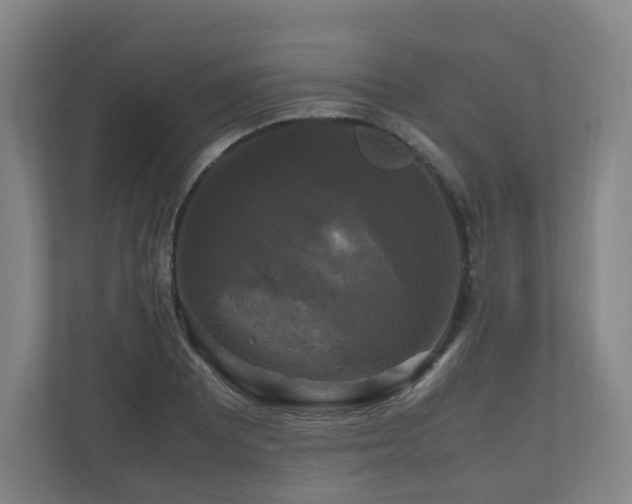 X0000111121081200906301306