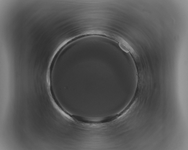 X0000111121084200906301306