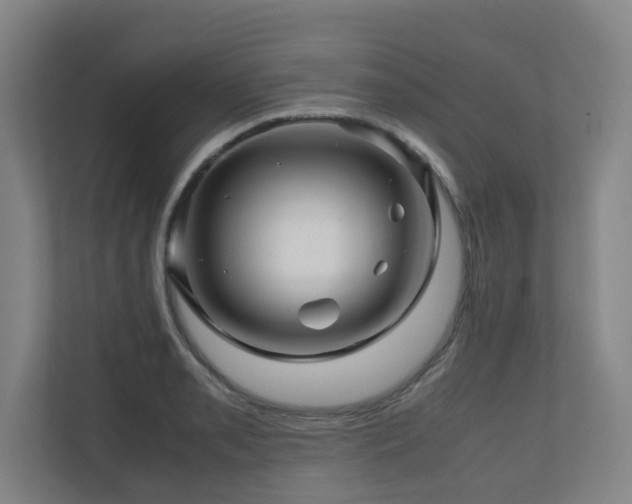 X0000111121085200906301306