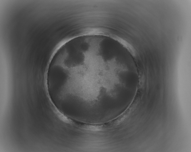 X0000111121086200906301306