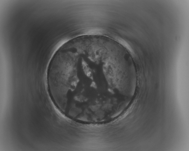 X0000111121087200906301306