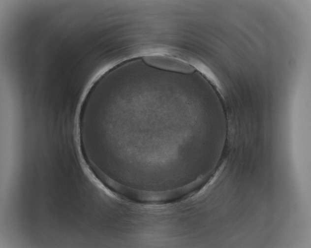 X0000111121088200906301306