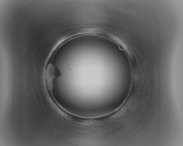 X0000111121091200906301306