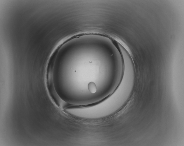 X0000111121093200906301306