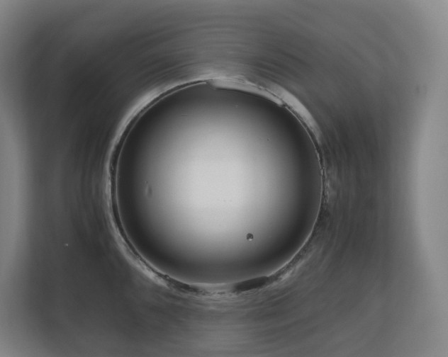 X0000111121096200906301305