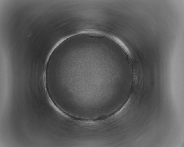 X0000111121100200906301305