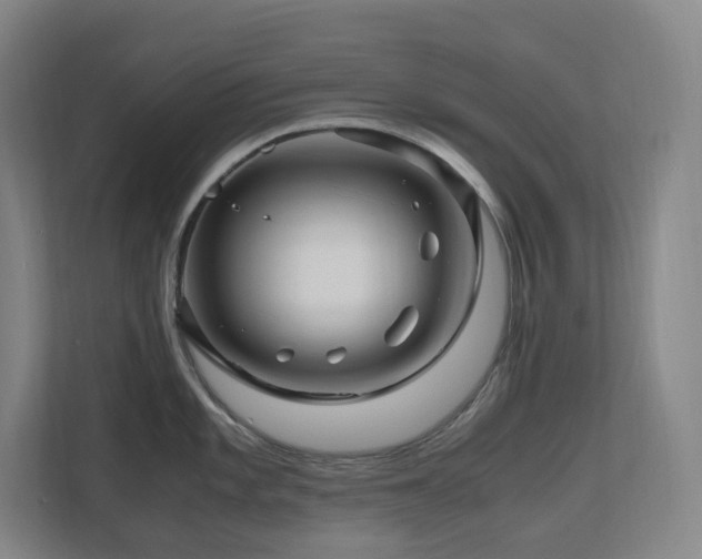 X0000111121101200906301305