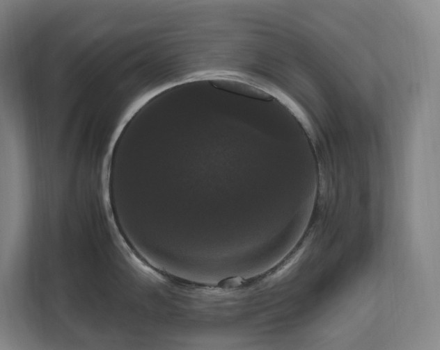 X0000111121102200906301305