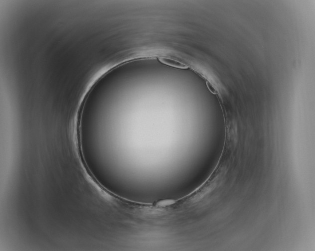 X0000111121103200906301305