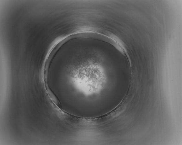 X0000111121104200906301305