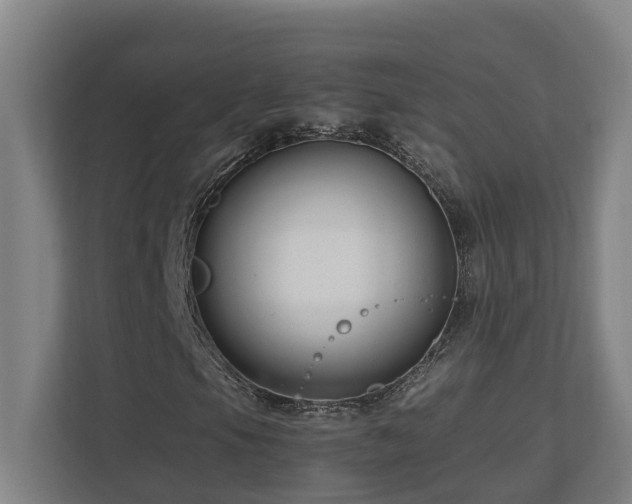 X0000111121105200906301305