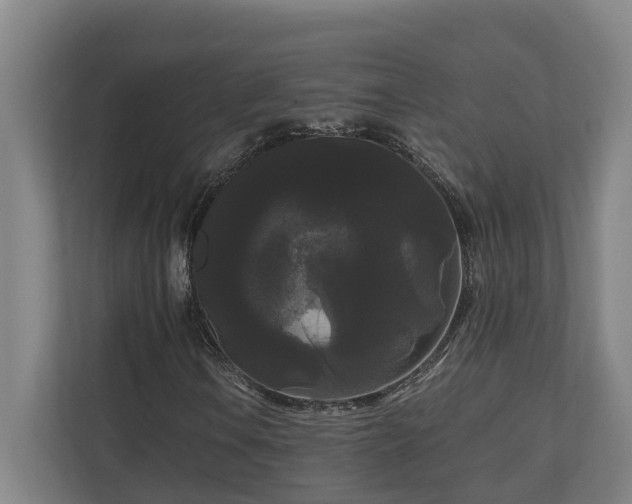 X0000111121106200906301305