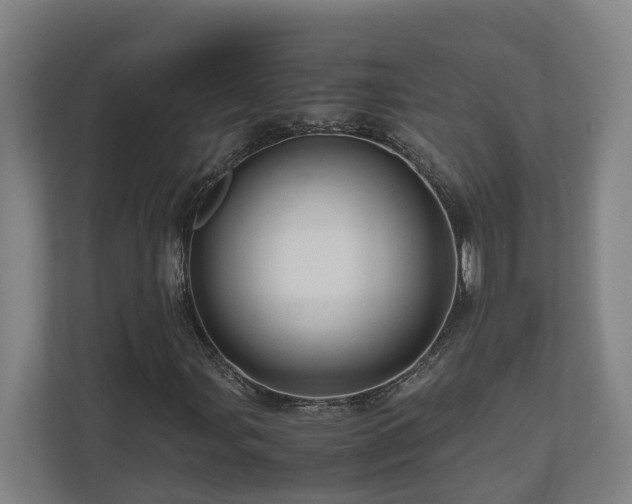 X0000111121107200906301305