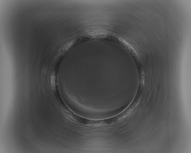 X0000111121108200906301305