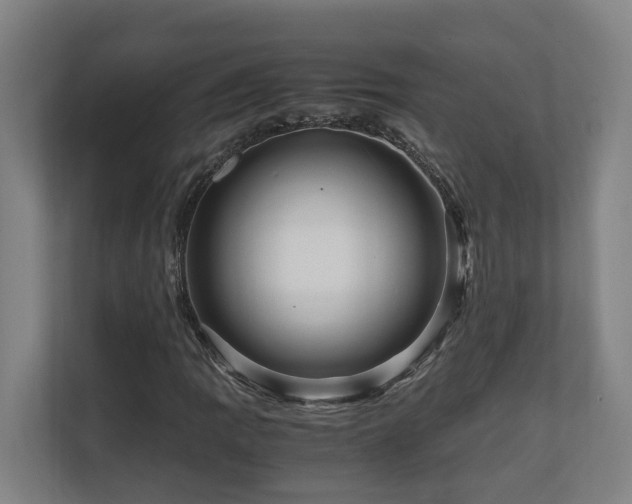 X0000111121109200906301305