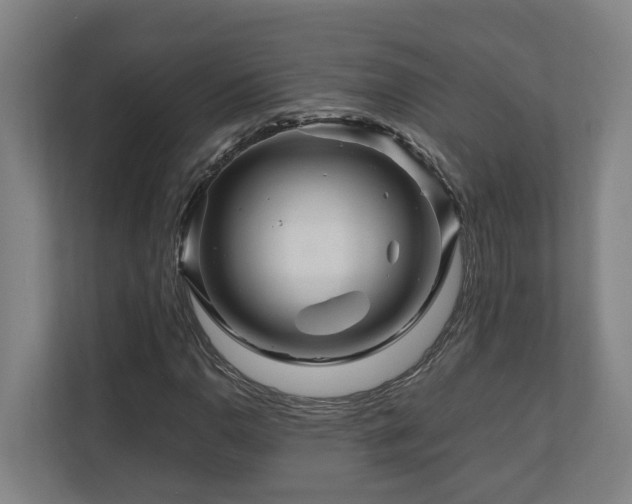 X0000111121110200906301305