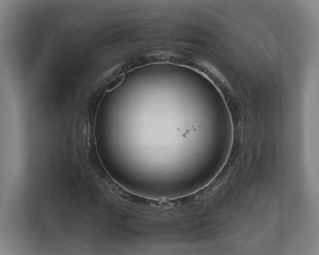X0000111121111200906301305