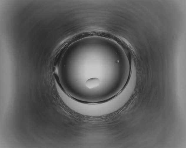 X0000111121112200906301305