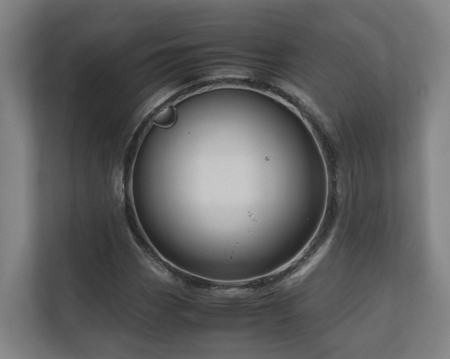 X0000111121113200906301305