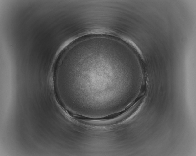X0000111121114200906301305