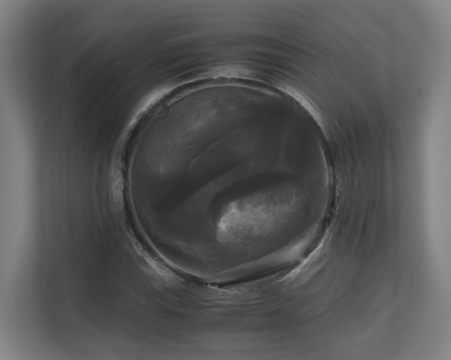 X0000111121115200906301305