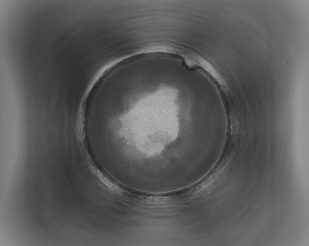 X0000111121116200906301305
