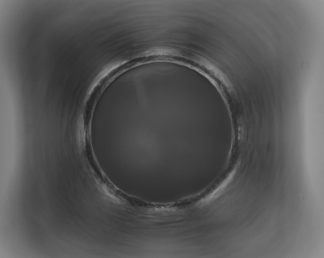 X0000111121117200906301305