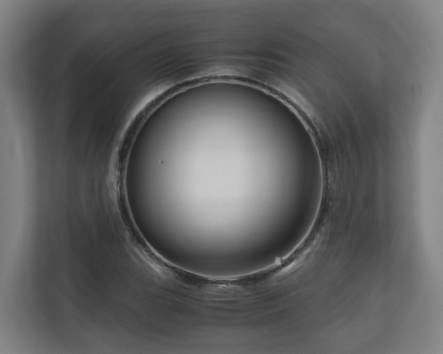 X0000111121119200906301305