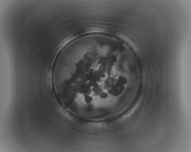 X0000111121121200906301305