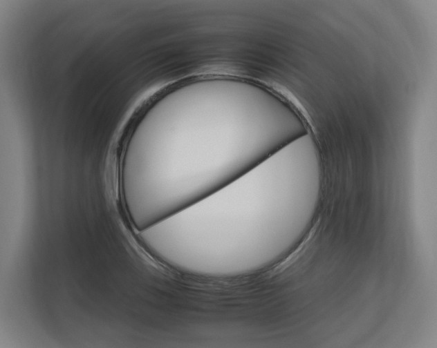 X0000111121123200906301305